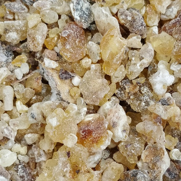 Essence of Frankincense Boswellia Frereana